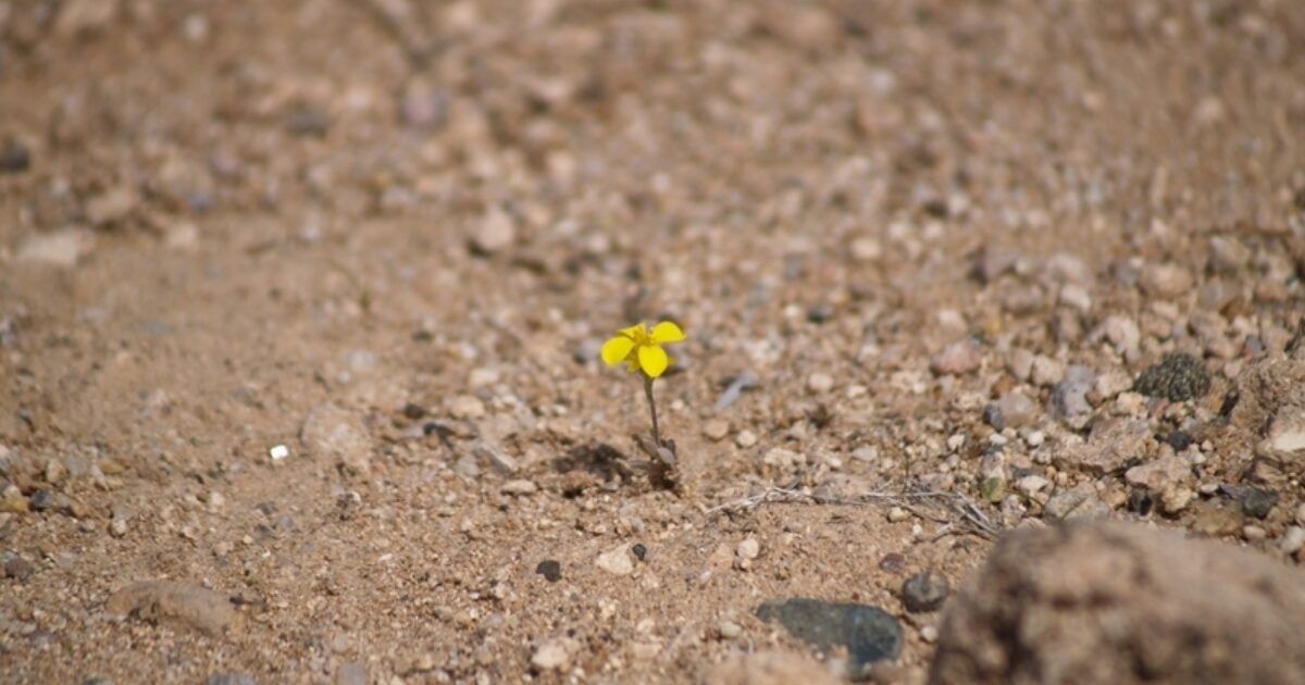 THE BLOGS JEREMIAH HIS LIFE TIMES AND TRADITIONS visual data 4