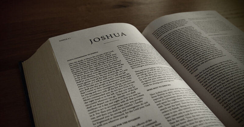 joshua_bible_commentary.jpg?mtime=1675913017