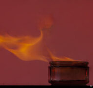 5651993605 a81ccf969a w