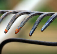 7305070170 4f154c48f5 w