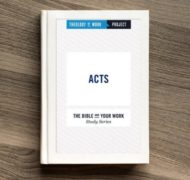 Acts bible study for work small groups