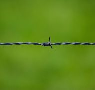Barbed wire 250822 620