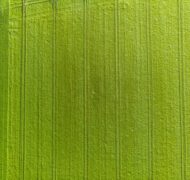 Bernd dittrich ek WP37 Gow Gw unsplash