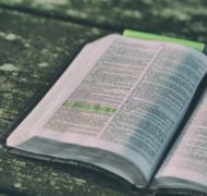 Bible commentary 2017 2