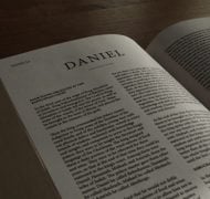 Daniel bible commentary