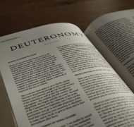 Deuteronomy bible commentary