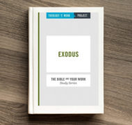 Exodus bible study for work small groups