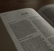 Job bible commentary