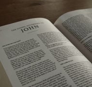 John bible commentary