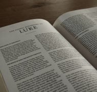 Luke bible commentary