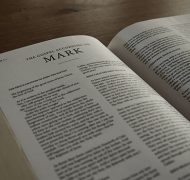 Mark bible commentary