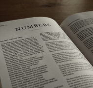 Numbers bible commentary