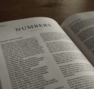 Numbers bible commentary free