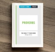 Proverbs bible study for work small groups