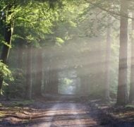 Road sun rays path