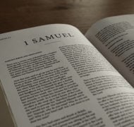 Samuel 1 bible commentary