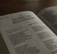 Song of songs bible commentary