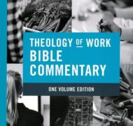 Theology work bible commentary reduced