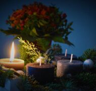 Waldemar XT Zp7u5 T1 Nk unsplash