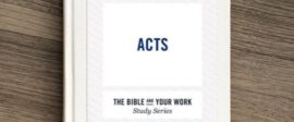 Acts bible study for work small groups