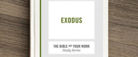 Exodus bible study for work small groups