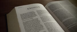 Exodus