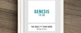 Genesis bible study for work small groups part2