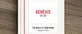 Genesis bible study for work small groups part3