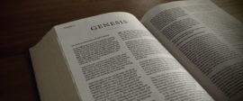 Genesis bible commentary