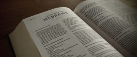 Hebrews bible commentary