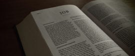 Job bible commentary