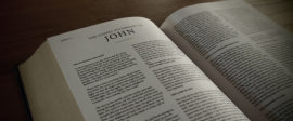 John bible commentary