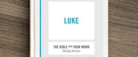 Luke bible study for work small groups