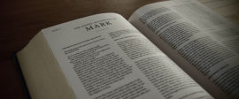 Mark bible commentary