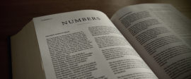 Numbers bible commentary