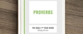 Proverbs bible study for work small groups