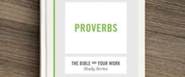 Proverbs bible study for work small groups