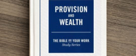 Provision and wealth bible study for small groups