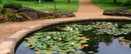 Sabbathpool