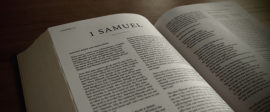 Samuel 1 bible commentary