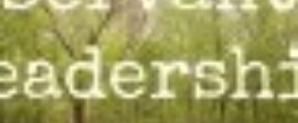 Servant leadership 1440x810 walking bridge