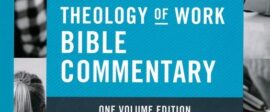 Theology work bible commentary reduced