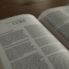 Luke bible commentary