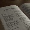 Psalms bible commentary