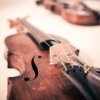 Violin 620