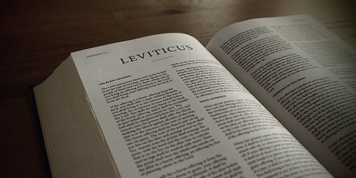 Leviticus And Work Theology Of Work leviticus-and-work-theology-of-work