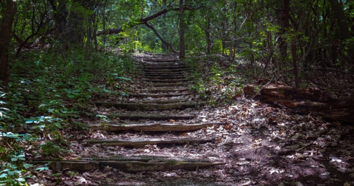 What Are Pastors Supposed to Do for You? The High Calling Theology