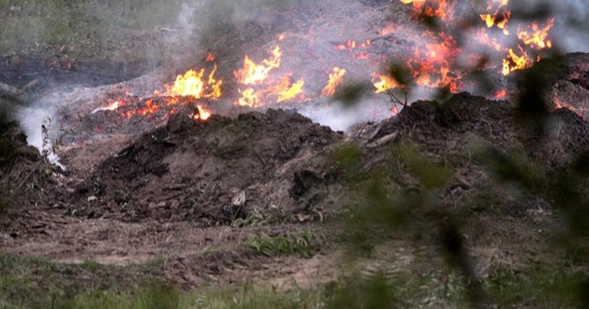 Burning Bushes Theology of Work