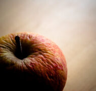 4358621175 ce4425a638 w