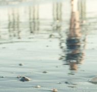 BEACH 300x240